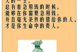 磁县企业清欠服务